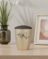 Preview: Special pet urn for cats in beige with a velvety surface and brown lid, adorned with a pad printed motif of a branch, a cat, and births – A loving and dignified keepsake for the home.